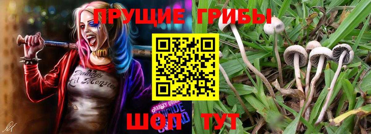 Псилоцибиновые грибы ЛСД  Вход с VPN  Ачхой-Мартан 